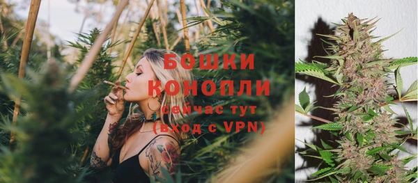 Альфа ПВП Бугульма