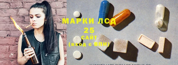 PSILOCYBIN Богородицк