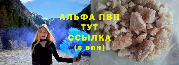PSILOCYBIN Богородицк