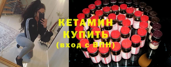 трава Бородино