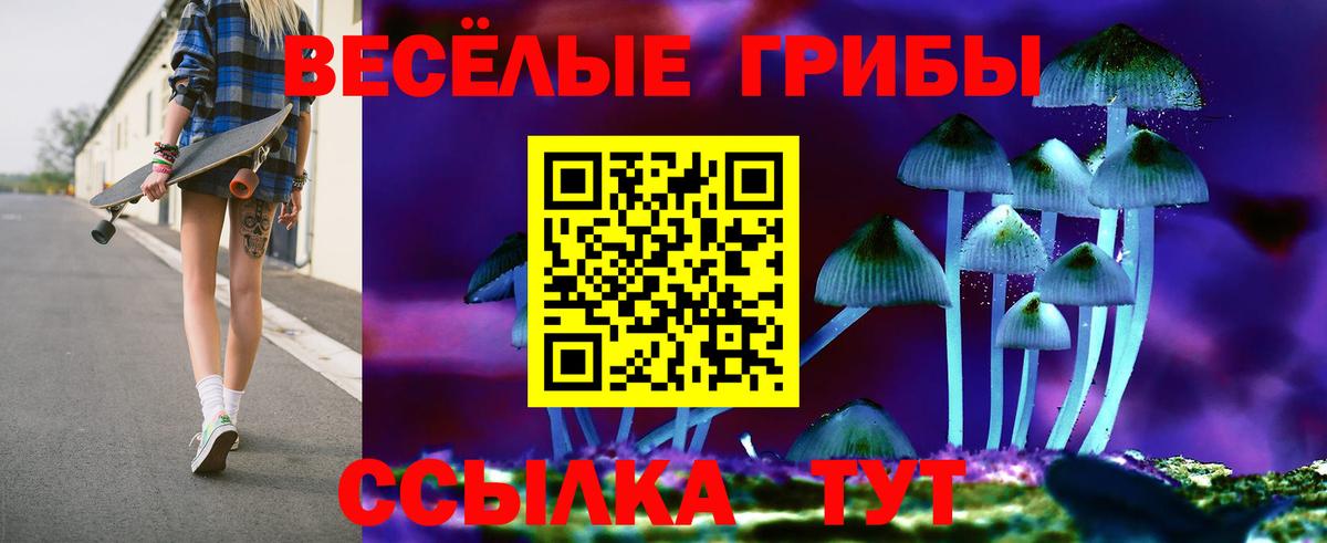 Галлюциногенные грибы GOLDEN TEACHER Верхняя Салда