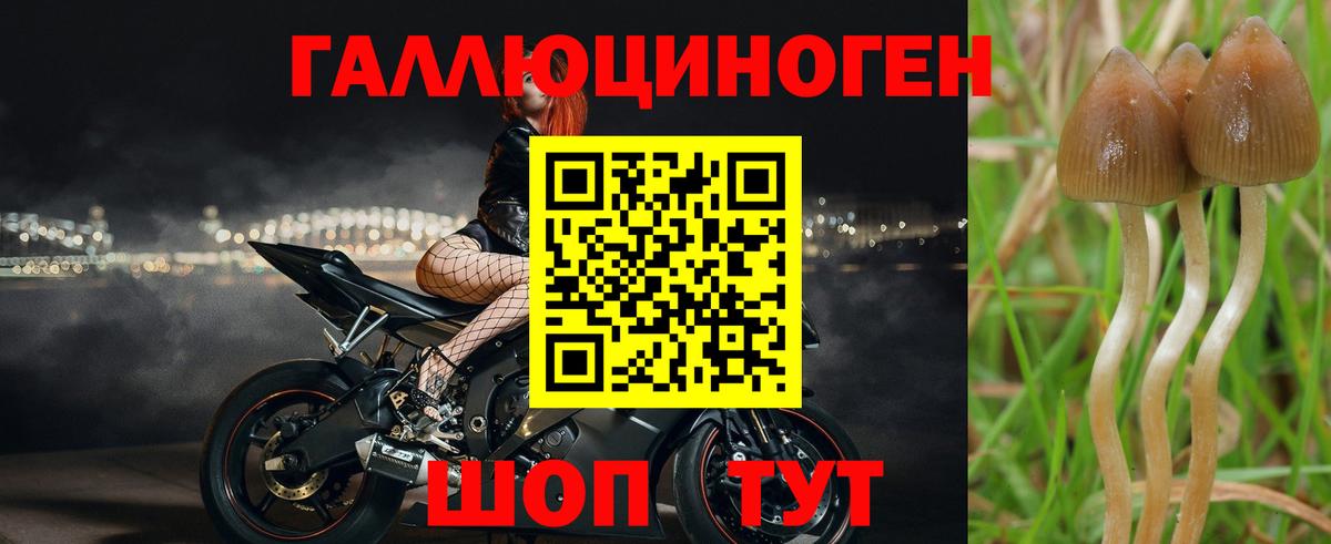 Галлюциногенные грибы Magic Shrooms  Псилоцибиновые грибы MAGIC MUSHROOMS  Вход с VPN  Верхняя Салда 