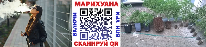 Конопля гибрид  закладки  Верхняя Салда 